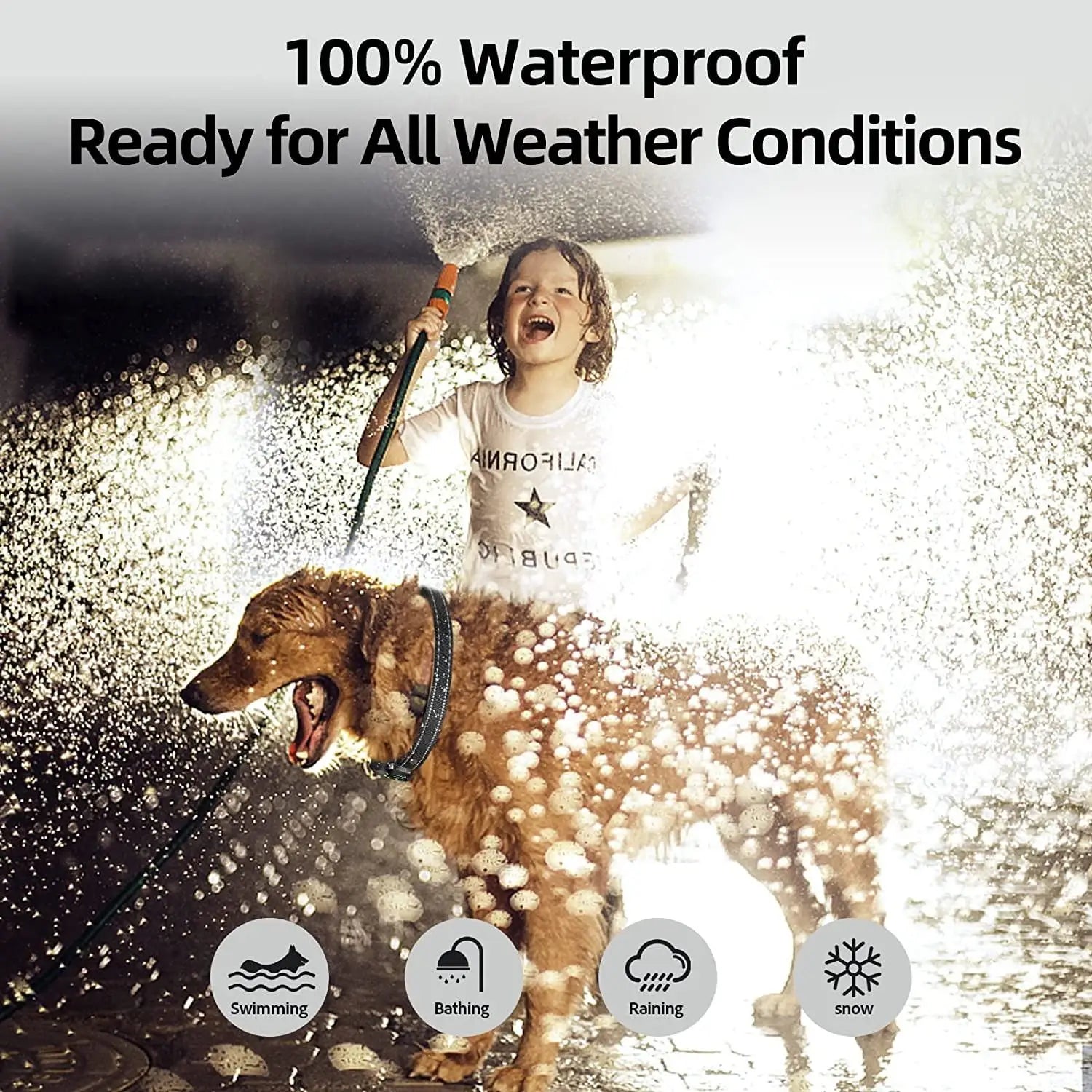 2025 Automatic Pet Stop Barking Collar Ai Intelligent Recognition Training Supplies Colour Screen Electronic Collar Dog Training