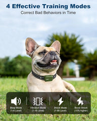 Leading ODM Provider: IPX7 Waterproof Pet Training Device with Enhanced Electric Shock Mode Dual-Channel Remote Collar
